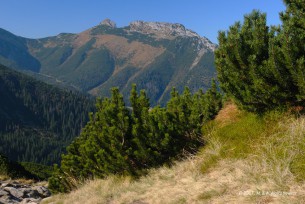 W dordze na Kasprowy Wierch