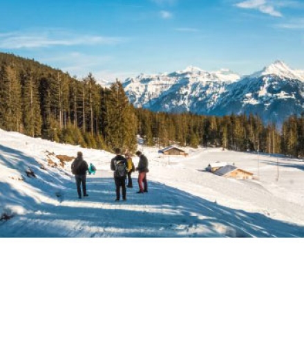 Pobyt w terminie od 28.11 - 23.12.2025